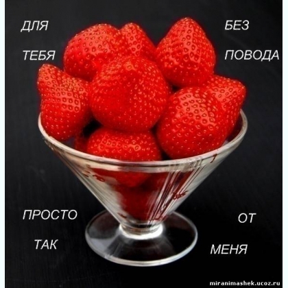  .   VIP kyH.   