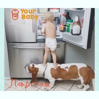        Your Family