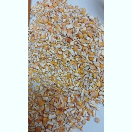 Ӫ 