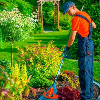 ������� �������