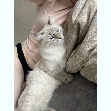 �o��� �a���p��� �p�� o��e��� 