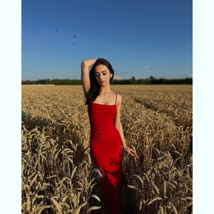 ��������� ������� ������������ ������������