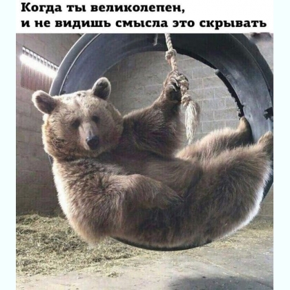 �������� �����. ��������, ������� ������� �� �������.