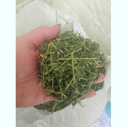 ������  ��������. ����� ����� �������