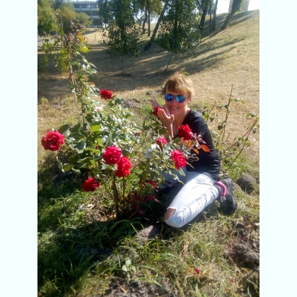 �� ���� ����������� ������ ��� ������������,������������.