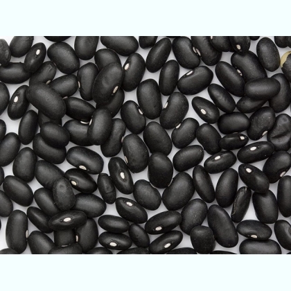 ��������� ������� � ������� ������� ����� �����. 