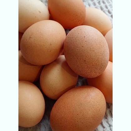 ������ ���� Viber 