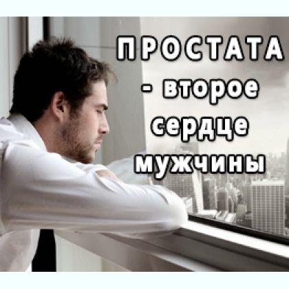 ���������������� ������������ ������ ��������