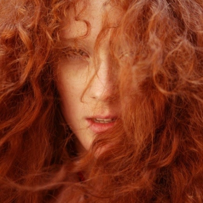 ����������� ,������� � ������������� -��� � ����-telegram.,