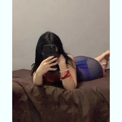 ����� �������� ����������, ���  �����������, ���� ��